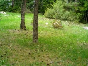 Yaban Hayatındaki Çeşitlilik Fotokapanlara Yansıdı