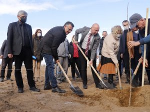 Cennet Elması Belediyenin Yeni Gelir Kapısı Olacak