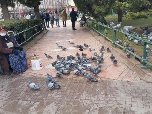 70 Yaşındaki Engelli Kadın Hem Para Kazanıyor Hem Kuşları Besliyor