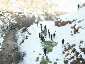 Tunceli’de Doğaya Yem Bırakıldı, Dağ Keçileri Akın Etti