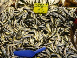 Mevsimin En Lezzetli Balığı İstavrit Oldu