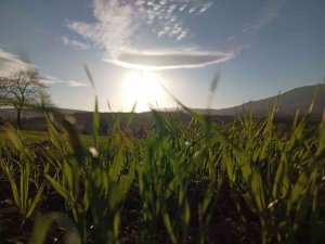 Sağlam: "Tarımsal Sanayimizi Katma Değeri Yüksek Üretim Yapan İçeriğe Kavuşturmalıyız"