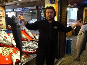 Hamsi Yok Ama Balık Halinin Kralı Çifte Kofanalar Oldu