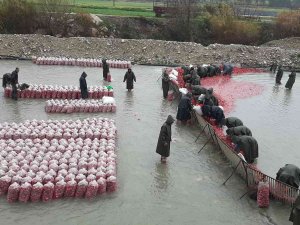 Yarım Metre Su İçinde Turp İşçisi Kadınların Ekmek Mücadelesi