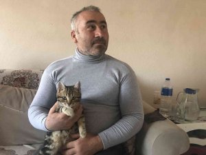 Kendisini Belgesele Kaptıran Kedinin Verdiği Tepki İzleyenleri Güldürdü