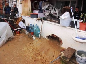 Bodrum’da Sel Faciası, Evleri Su Bastı, Sokak Hayvanları Boğuldu