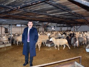 Tüdki̇yeb Genel Başkanı Çelik: ”Tmo’nun Arpaya Yaptığı Zammı Geri Çekmesi, Yetiştiricimiz Açısından Sevindirici Olmuştur"