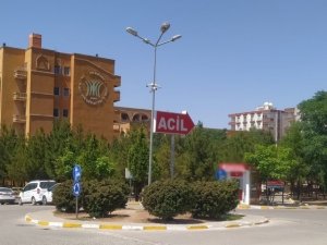 Mardin’de Yolun Karşısına Geçmek İsteyen Kadın Hayatını Kaybetti