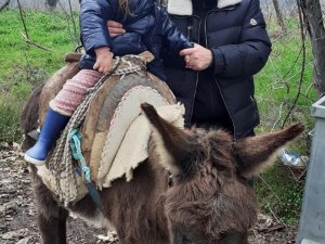Memleket Partisi Genel Başkanı Muharrem İ̇nce, Torununu Eşekle Gezdirdi