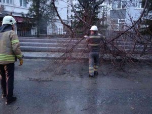 Kadıköy’de Şiddetli Fırtınanın Etkisiyle Ağaç Ve Elektrik Direği Devrildi