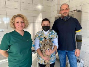 Ne Yazık Ki Uçamayabilir