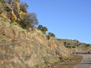 Sinop’ta Hane Sahipleri Tedirgin