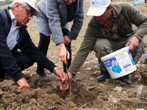 Gündoğmuş’a Ceviz Fidanı Ve Hamur Makinesi Yardımı