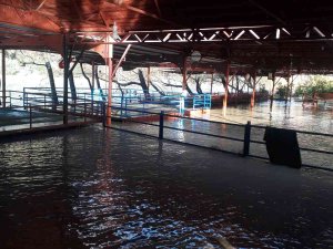 Antalya’da Şiddetli Yağış Irmak Kenarındaki Restoranları Sular Altında Bıraktı