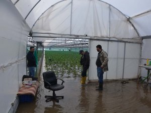 Ortaca’da Seralar Ve Narenciye Bahçeleri Su Altında Kaldı
