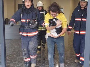 Yangında Ayrı Düşen Köpek Ve Sahibini İtfaiye Kavuşturdu