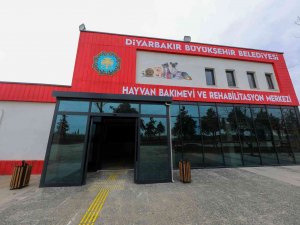 Diyarbakır’da ‘Can Dostlarımızın’ 5 Yıldızlı Yuvası Açılıyor