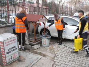 Kastamonu’da Sokak Hayvanları Unutulmadı