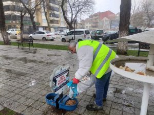 Çan Belediyesi Sokak Hayvanlarını Unutmadı