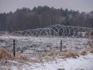 Polonya’nın Belarus Sınırında 240’tan Fazla Göçmenin Öldürüldüğü İddiası