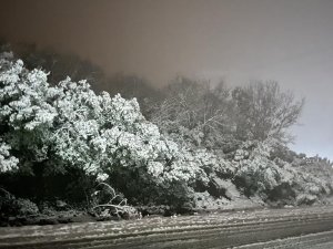 Çaycuma’da Kar Yağışı Etkili Oldu