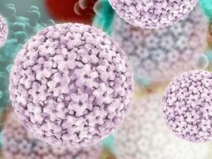 100 Kadından 98’i Hpv Virüsü İle Karşı Karşıya