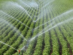 Bireysel Sulama Hibe Desteği Başvuruları Başladı