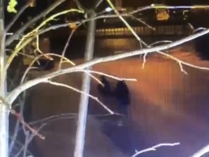 Beyoğlu’nda Genç Kadına Kapkaç Kamerada: Peşinden Koştu Ama Yakalayamadı