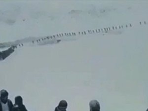 Van Valiliğinden Karda Tek Sıra Yürüyen Kişilerle İlgili Açıklama