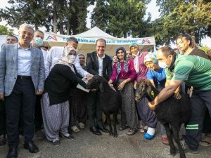 Büyükşehir Tarım Ve Hayvancılıkta Üreticinin Destekçisi Oldu