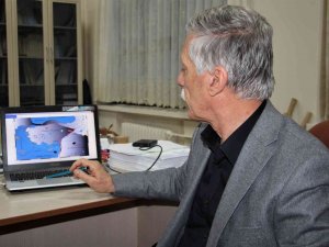 Jeoloji Uzmanı Prof. Dr. Aksoy: "Doğu Anadolu Fay Zonu Hala Aktif Ve Deprem Üretmeye Devam Edecek"