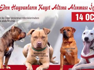Tehlikeli Köpek Irkları İçin Son Kayıt Tarihi 14 Ocak