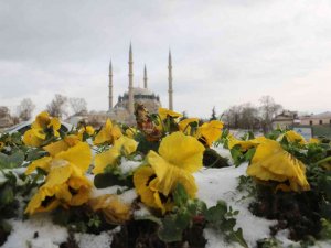 Edirne’de Nehirler, Yollar Ve Süs Havuzları Buz Tuttu