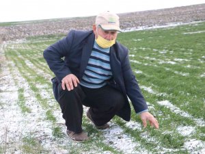 Edirneli Çiftçilerin Yüzü Yağan Karla Güldü