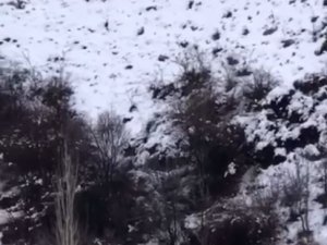 Antalya’da Avcı Domuzun Darbesi İle Ölümden Döndü