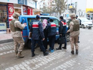 Yeniden Yapılanmaya Çalışan Fetö’ye Kastamonu’da Darbe