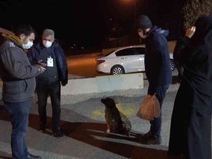 Virüslü Karı-koca Otobüste Yakalandı: "Yanlış Yaptığımı Biliyorum"