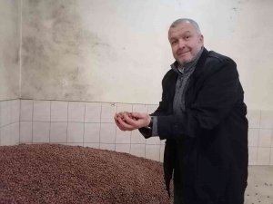 Fındık Fiyatı Haftayı 35 Liradan Kapatıyor