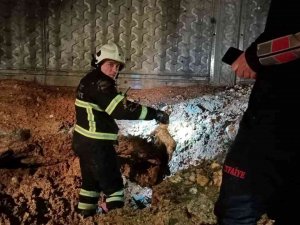 Siirt’te Çukura Düşen Köpek Ve 13 Yavrusu Kurtarıldı