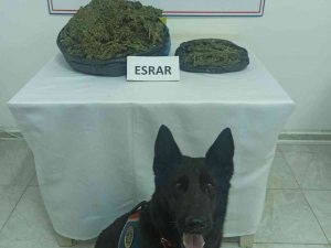 Gazipaşa’da Uyuşturucu Tacirine Operasyon