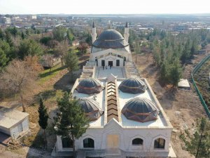 Sabır Evlerinde Ağaçlandırma Çalışması Başlatıldı
