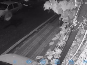 Üsküdar’da Silahlı Dehşet: Otizmli Gencin Köpeğini Pitbull Zannederek Silahla Vurdu
