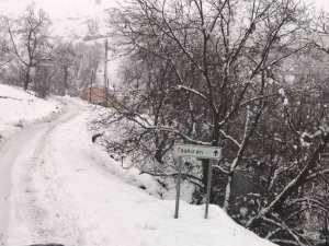 Şırnak’ta Karla Mücadele Devam Ederken, Kapanan Köy Yolları Bir Bir Açılıyor