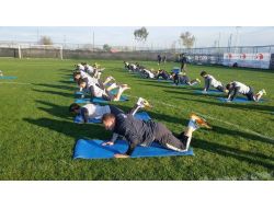 Spor Toto 3. Lig