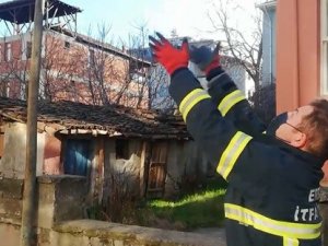 Bacada Mahsur Kalan Güvercini İtfaiye Kurtardı