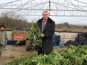 Sakarya Tarımına İvme Katacak Projede Sona Gelindi