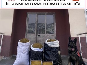 ’Yaba’ Kokladı, Bingöl’de 75 Kilo Kıyılmış Tütün Ele Geçirildi