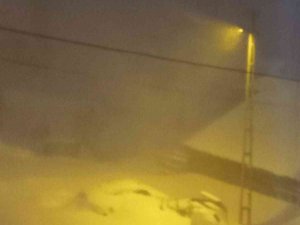 Posof’ta Tipi Hayatı Olumsuz Etkiliyor