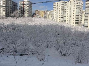 Trabzon’da Kar Yüksek Kesimlerde Etkili Oldu