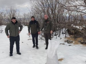 Bingöl’de Yaban Hayvanları İçin Doğaya Yem Bırakıldı